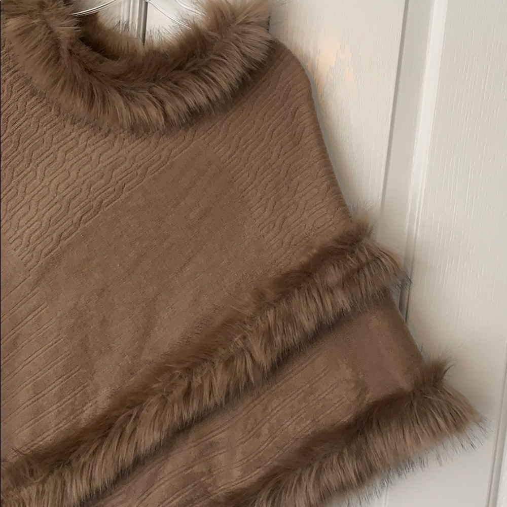 Pancho - Picture 2 of 4